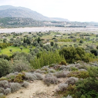 Land plot in Greece, Dode