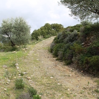 Land plot in Greece, Dode