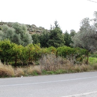 Land plot in Greece, Dode