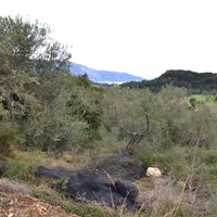 Land plot in Greece, Ionian Islands
