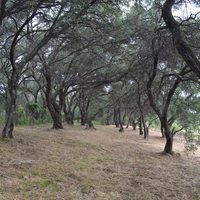 Land plot in Greece, Ionian Islands, 4800 sq.m.