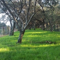 Land plot in Greece, Ionian Islands, 4800 sq.m.