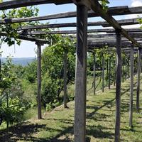 Villa in Greece, Central Macedonia, Khal, 240 sq.m.