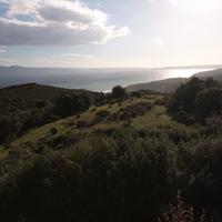 Земельный участок в Греции, Центральная Македония, Центр, 8000 кв.м.