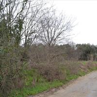 Land plot in Greece, Dode, 4164 sq.m.