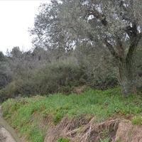 Land plot in Greece, Dode, 4164 sq.m.