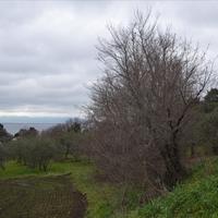 Land plot in Greece, Dode, 4164 sq.m.
