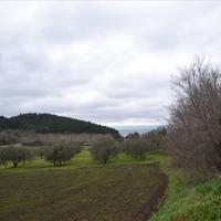 Land plot in Greece, Dode, 4164 sq.m.