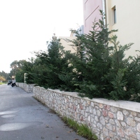 Other in Greece, Dode, 190 sq.m.