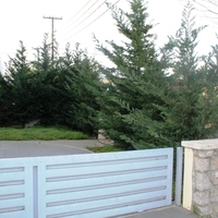 Other in Greece, Dode, 190 sq.m.