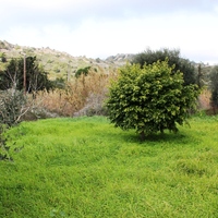 Villa in Greece, Dode, 160 sq.m.