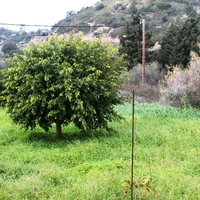 Villa in Greece, Dode, 160 sq.m.