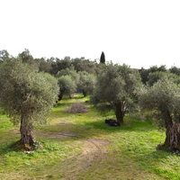 Other in Greece, Ionian Islands, 125 sq.m.