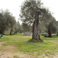 Other in Greece, Ionian Islands, 125 sq.m.