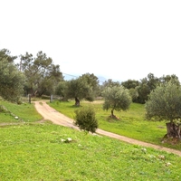 Other in Greece, Ionian Islands, 280 sq.m.