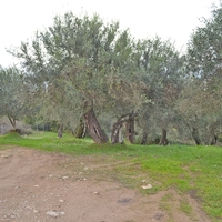 Other in Greece, Ionian Islands, 280 sq.m.