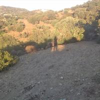 Land plot in Greece, Dode