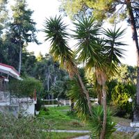 Other in Greece, Central Macedonia, Center, 110 sq.m.