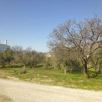 Land plot in Greece, Thessaly, 1300 sq.m.