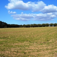 Land plot in Greece, Central Macedonia, Khal