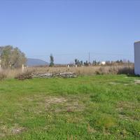 Land plot in Greece, Central Greece, Center