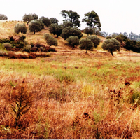Земельный участок в Греции, Центральная Македония, Центр