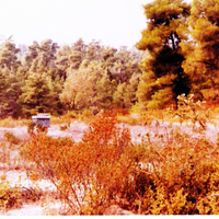 Земельный участок в Греции, Центральная Македония, Центр