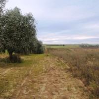 Земельный участок в Греции, Центральная Македония, Центр