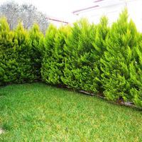 Other in Greece, Central Macedonia, Center, 306 sq.m.