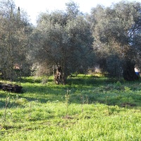 Земельный участок в Греции, Ионические острова