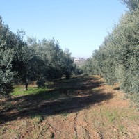 Land plot in Greece, Central Macedonia, Center