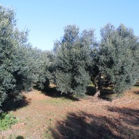 Land plot in Greece, Central Macedonia, Center