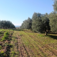 Land plot in Greece, Central Macedonia, Center