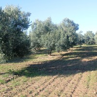 Land plot in Greece, Central Macedonia, Center
