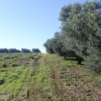 Land plot in Greece, Central Macedonia, Center