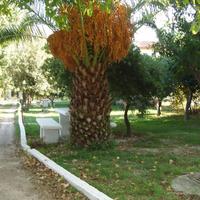 Other in Greece, Peloponnese, 240 sq.m.