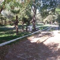 Other in Greece, Peloponnese, 240 sq.m.