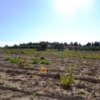 Земельный участок в Греции, Центральная Македония, Центр