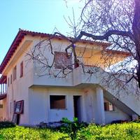 Other in Greece, Attica, Athens, 240 sq.m.