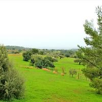 Other in Greece, Peloponnese, 200 sq.m.