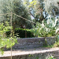 Other in Greece, Dode, 99 sq.m.