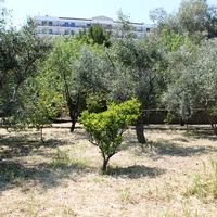 Other in Greece, Dode, 99 sq.m.