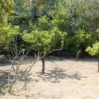 Other in Greece, Dode, 99 sq.m.