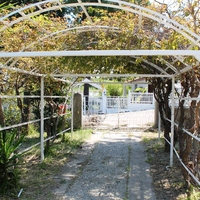 Other in Greece, Dode, 99 sq.m.