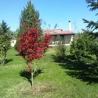 Другое в Греции, Центральная Македония, Центр, 89 кв.м.