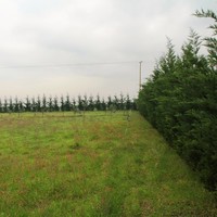 Villa in Greece, Central Macedonia, Center, 750 sq.m.