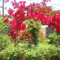 Other in Greece, Peloponnese, 220 sq.m.