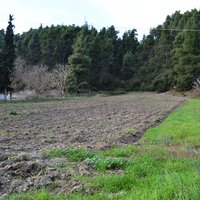 Земельный участок в Греции, Центральная Македония, Центр