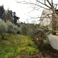 Земельный участок в Греции, Центральная Македония, Центр