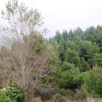 Таунхаус в Греции, Центральная Македония, Центр, 157 кв.м.